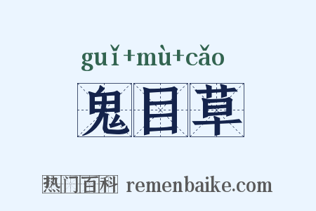 鬼目草是什么意思的图片